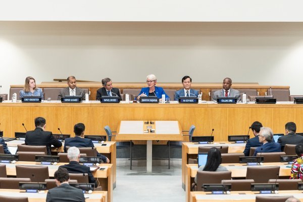 Panel rasprava u Ujedinjenim narodima o nuklearnoj energiji