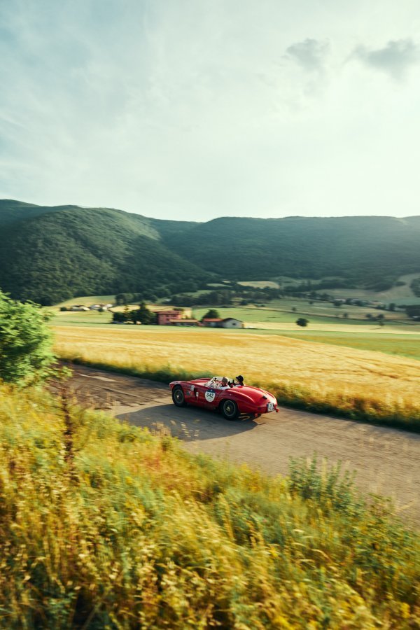 1900 Sport Spider iz 1954.