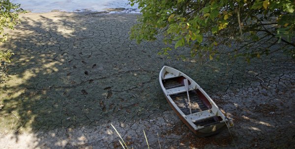 Niski vodostaj Rajne