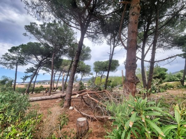 Posljedice nevremena na Korzici