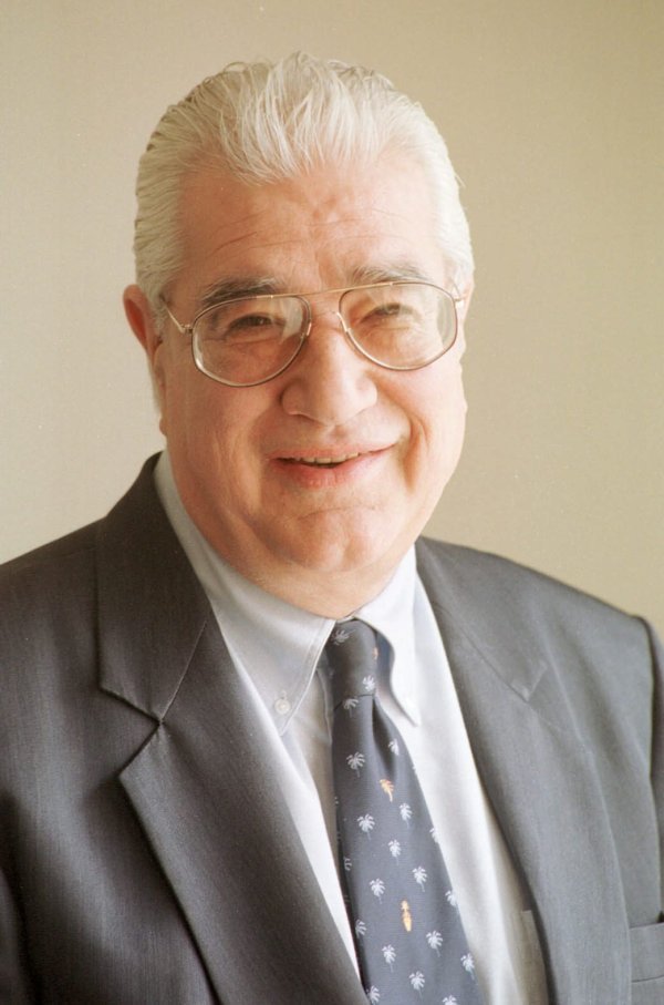 Ante Čičin - Šain