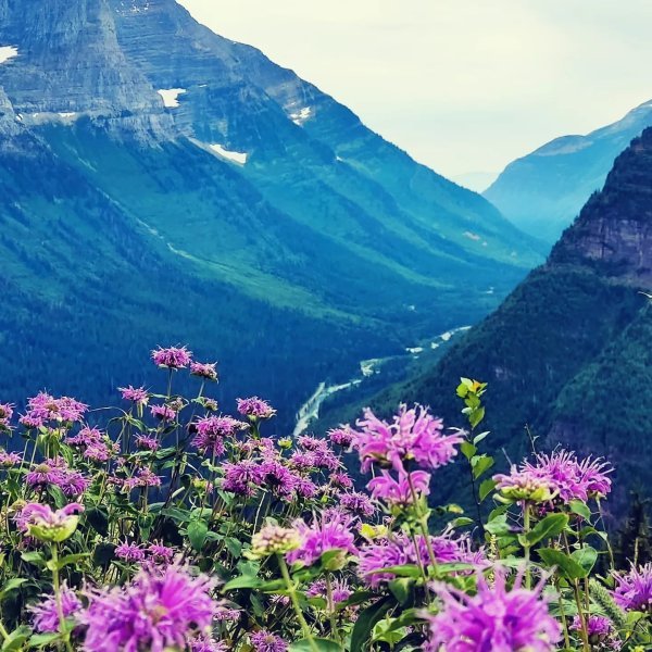Glacier, Montana