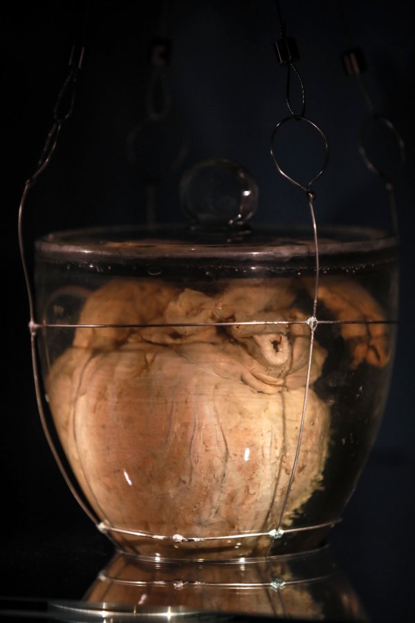 Srce portugalskog monarha Dom Pedra I.