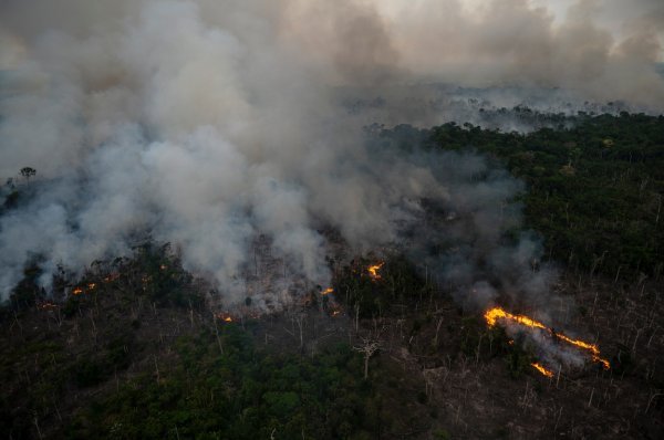 Požar u Amazoniji
