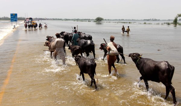 Poplave u Pakistanu