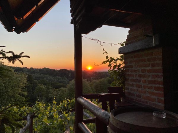 Wine & Relax Sveti Martin na Muri