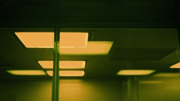 Žene minorne spekulacije