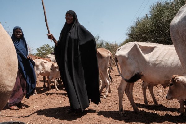 Rog Afrike petu je godinu bez kiše