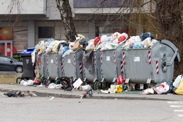 Gomila neodvezenog smeća stoji u kontejnerima na Vrbiku (1)