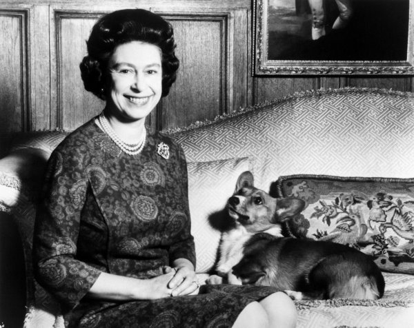 Kraljica se sama brinula za svoje pse u dvorcu Windsor, a psi su imali i svoj privatni smještaj 