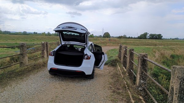 Tesla Model Y Performance