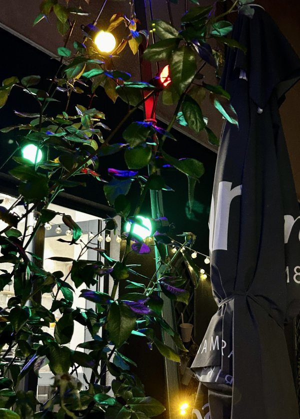 iPhone 14 primjeri fotografija