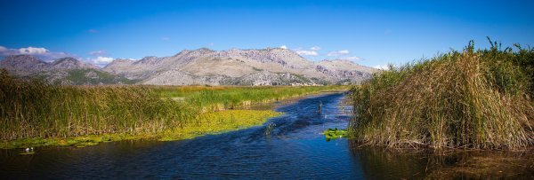 Rukavci na delti rijeke Neretve