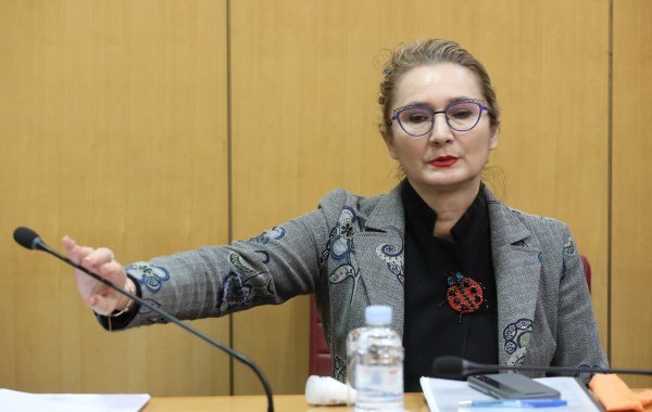 Višnja Ljubičić, pučka pravobraniteljica za ravnopravnost spolova