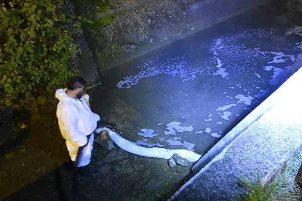 Zagađenje potoka u Vrapču