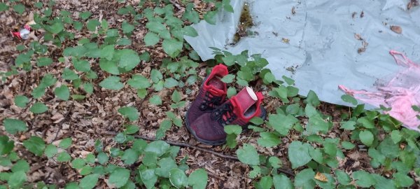 Migrantska 'baza' u šumi kod Pokupskog