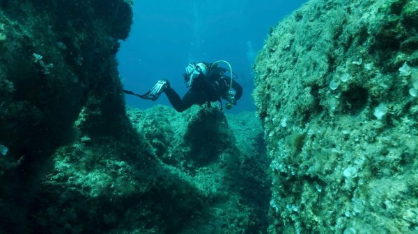 Utjecaj tektonskih ploča na podmorje