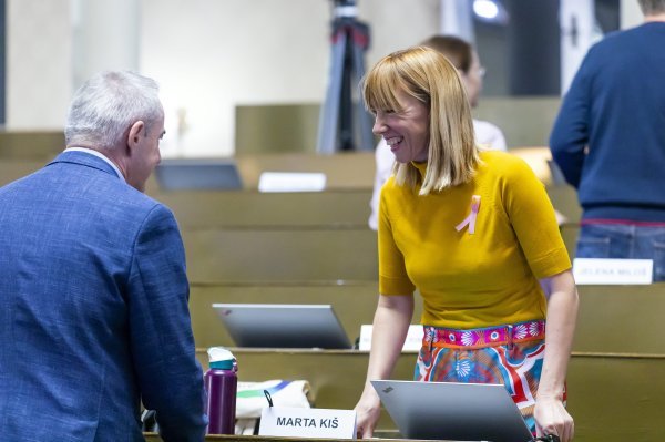 Sjednica Skupštine Grada Zagreba