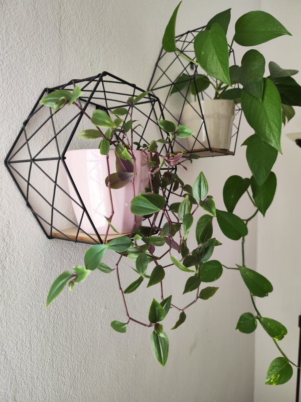 Xiaomi 12T Pro primjeri fotofrafija