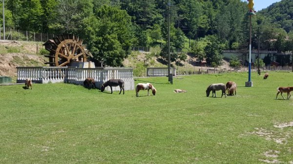 Bio park Divlje vode