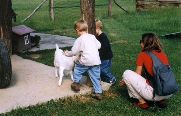 Restoran-izletište Dva potoka