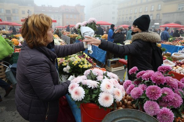 Cvijeće za Sve svete