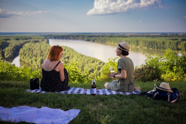 NAJveći hrvatski vinograd