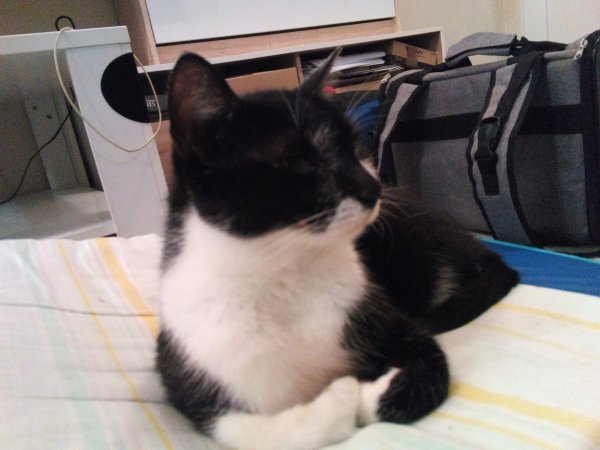 MeanIT X4 - primjeri fotografija