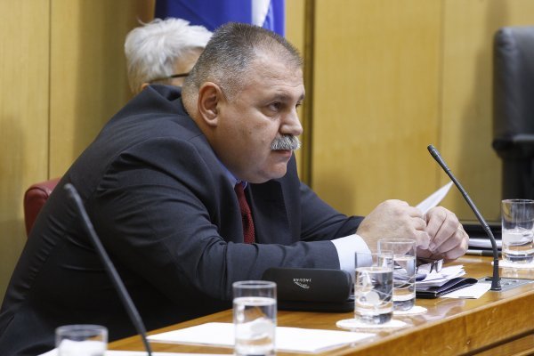 Goran Mehkek / CROPIX  