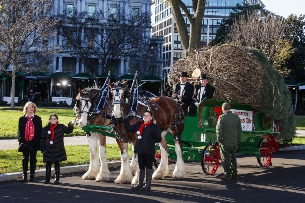Božićno drvce bijele kuće