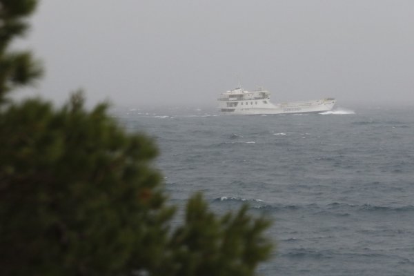 Trajekt Pelješčanka prkosi olujnom jugu