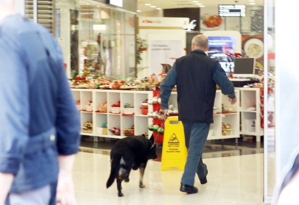 Evakuacija Jokera zbog dojave o bombi