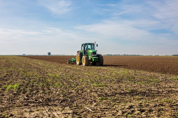 sjetva, poljoprivredno zemljište
