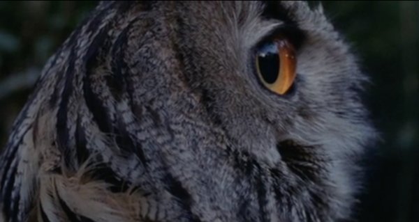 Davor Sanvicenti - Places we'll breathe