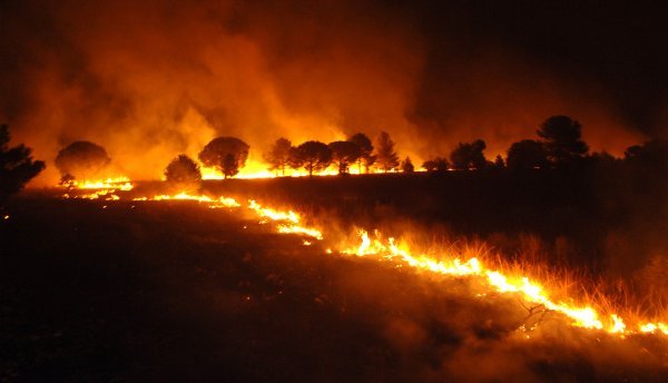 Na jugoistoku Francuske i na Korzici požar je poharao 7000 hektara