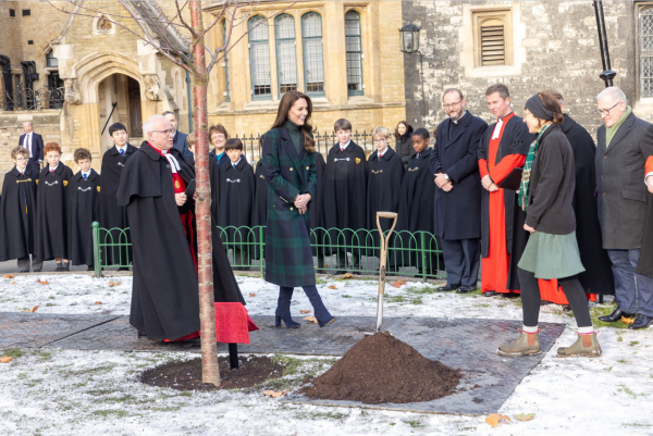 Kate Middleton na sadnji stabla u Westminsterskoj opatiji