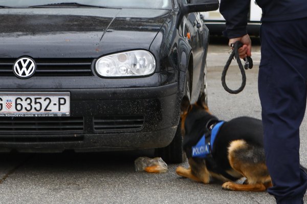 Davor Božinović na primopredaji specijalnih policijskih vozila za prijevoz pasa