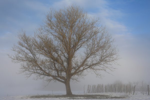 Prohladno jutro u okolici Bosiljeva