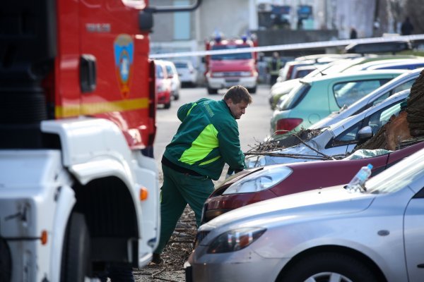 Vjetar srušio stablo jablana, oštećeno više automobila