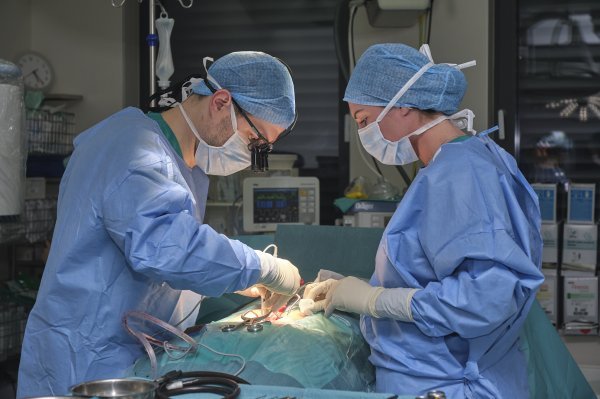 dr Stipe Corluka operacija kraljeznice_DSF1669