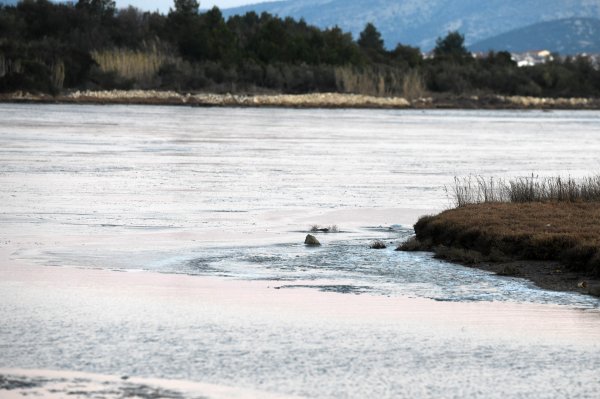 Tisno: Zbog hladnoga vala poledilo more i u Ivinju