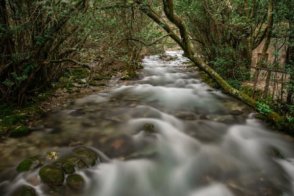 Konavle su pravi dragulj na samom hrvatskom jugu