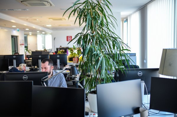 Damir Sabol, Photomath