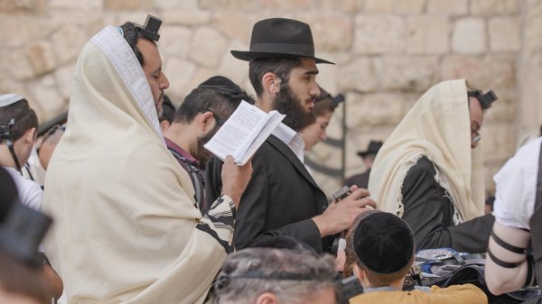 Goran Milić, What's Up Izrael