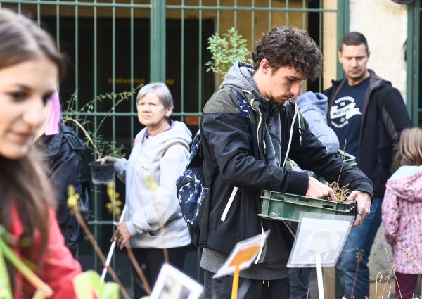 Rasprodaja biljaka u Botaničkom vrtu