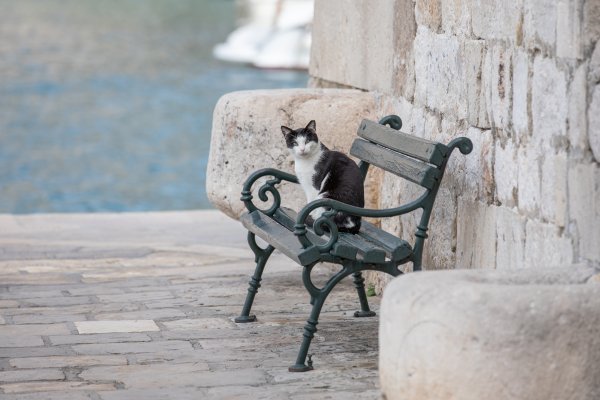 Turisti u Dubrovniku