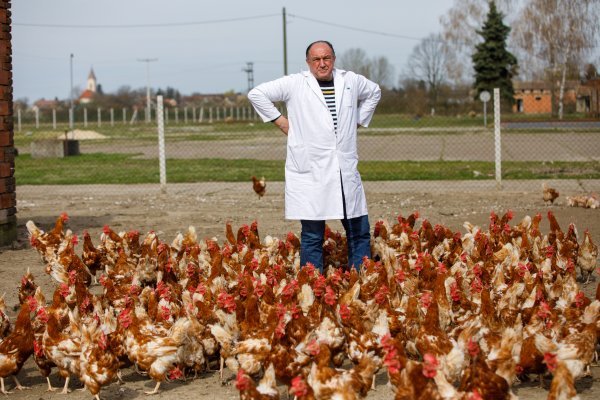 Veterinar Ivica Baričević na farmi u Soljanima