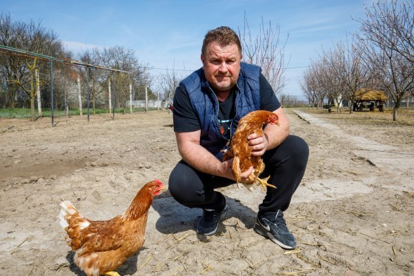 Kooperant farme u Soljanima Damir Sovar sa svojim kokama nesilicama