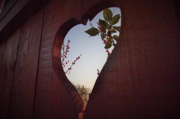 Rural House Veranda, Šarengrad
