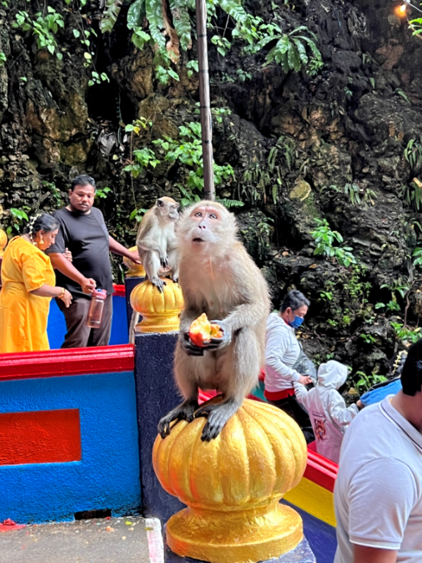 Annotation 2023-03-23 153026